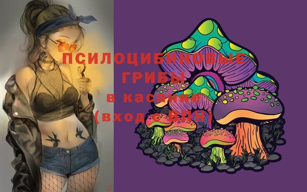 первитин Инта