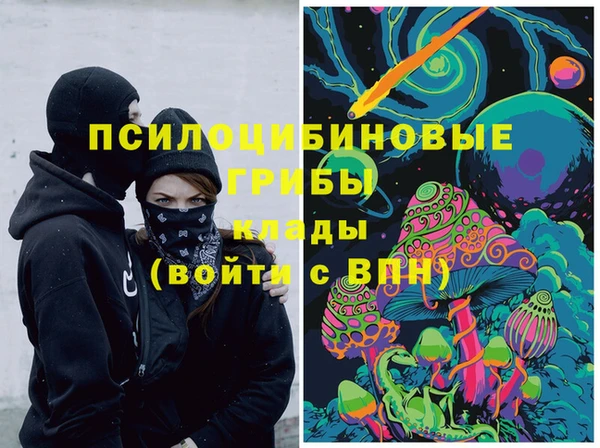 сатива Абаза