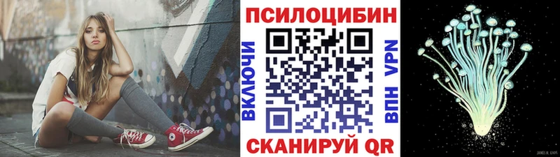 Псилоцибиновые грибы Psilocybine cubensis  Устюжна 