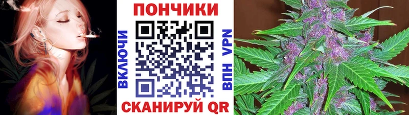 нарко площадка телеграм  Устюжна  Бошки марихуана тримм 